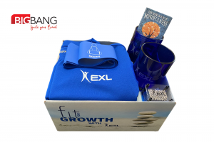 Bang Box for EXL Fit for Growth